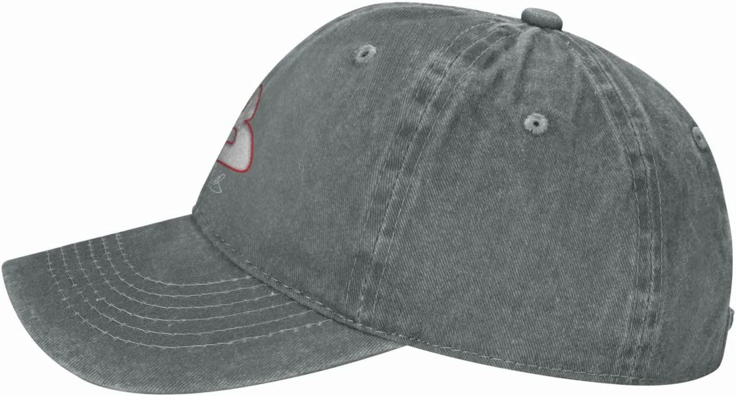 Dale Earnhardt Sr #3 Baseball Hats for Men/Women Adjustable Cap