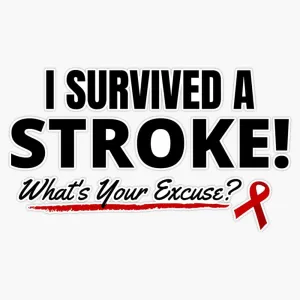 Funny "I Survived A Stroke..." Stroke Survivor Design Sticker Vinyl Decal Car Laptop Wall Window Bumper Sticker 5"