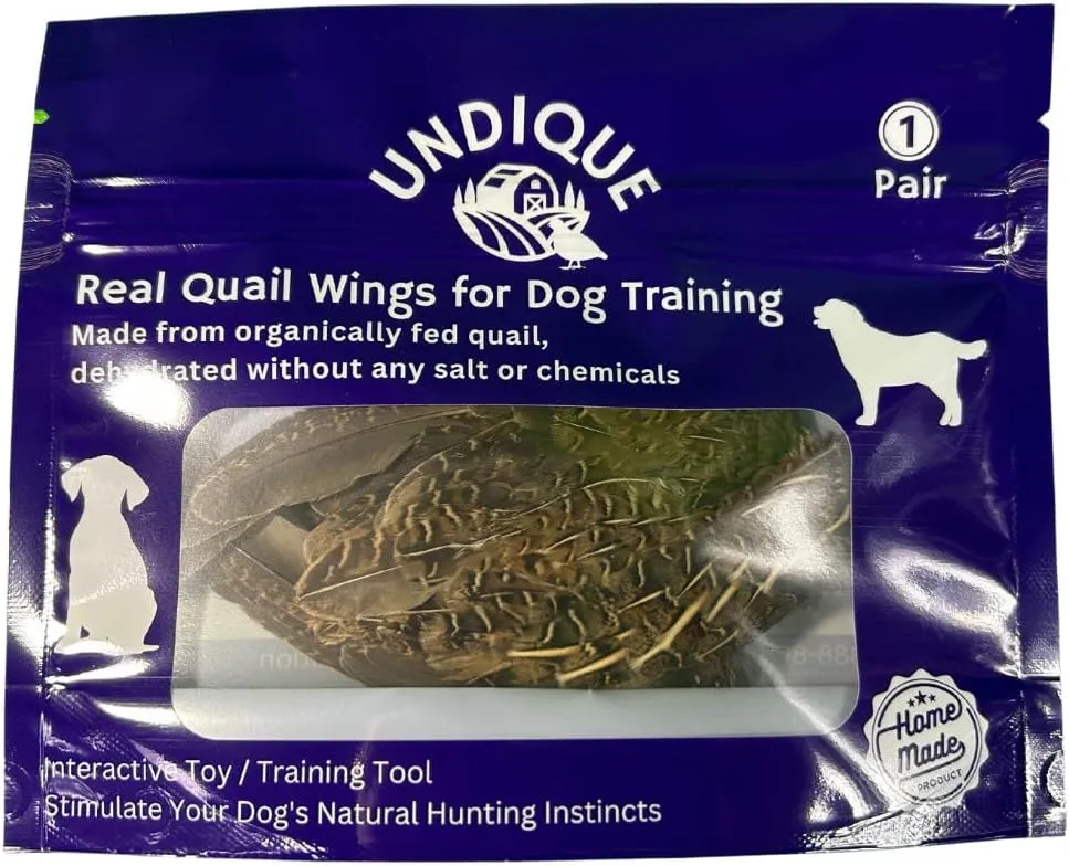 Real Quail Wings for Dog Training 1 Pair